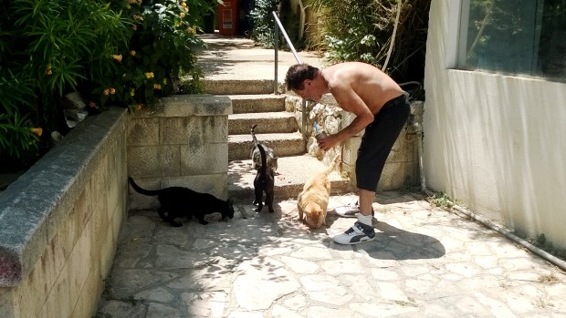 WP_20150625_11_14_56_Pro